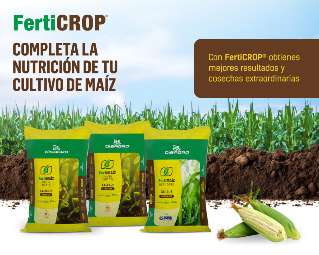 mejor-fertilizante-maiz-nicaragua-ferticrop