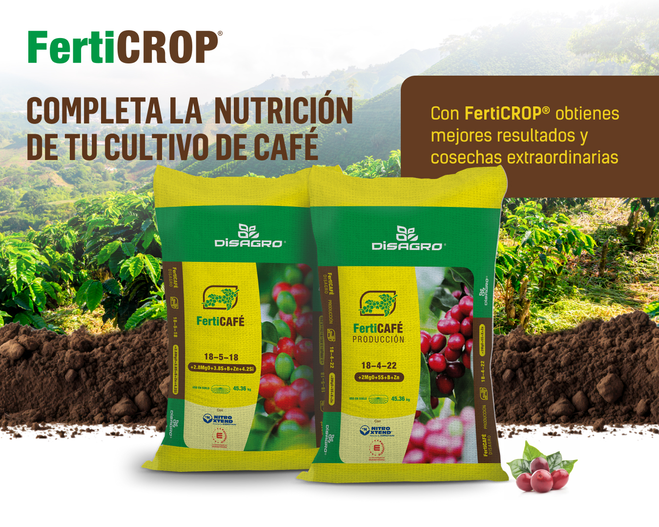 mejor-fertilizante-cafe-nicaragua-ferticrop